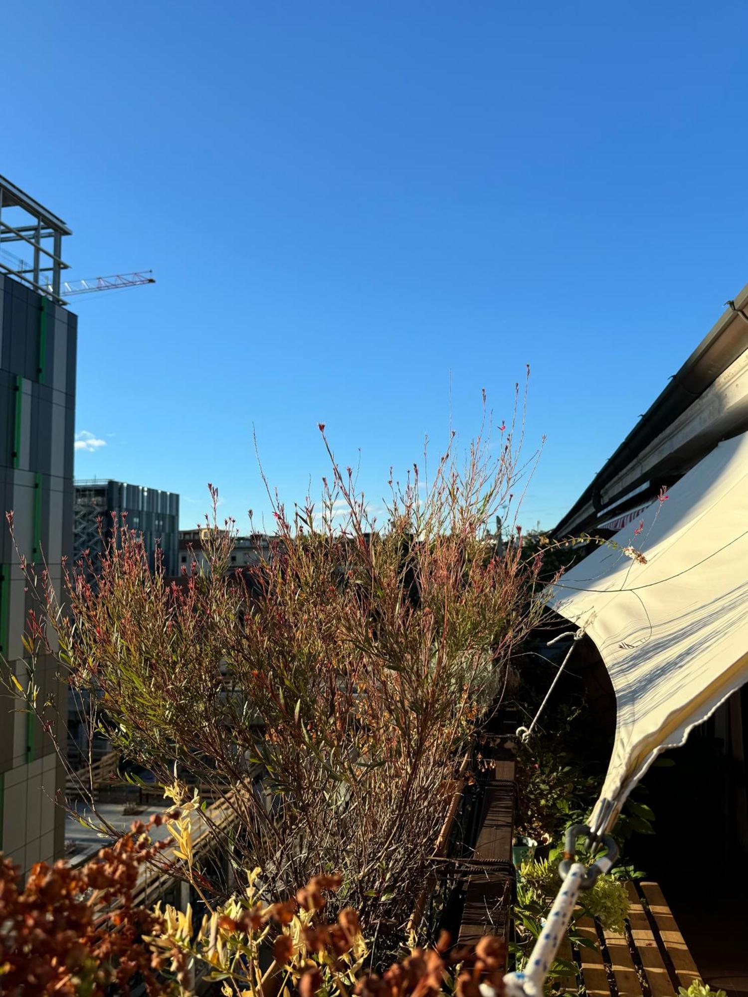 Ferienwohnung Commenda 25 - A Special Spot In The Heart Of Mailand Exterior foto